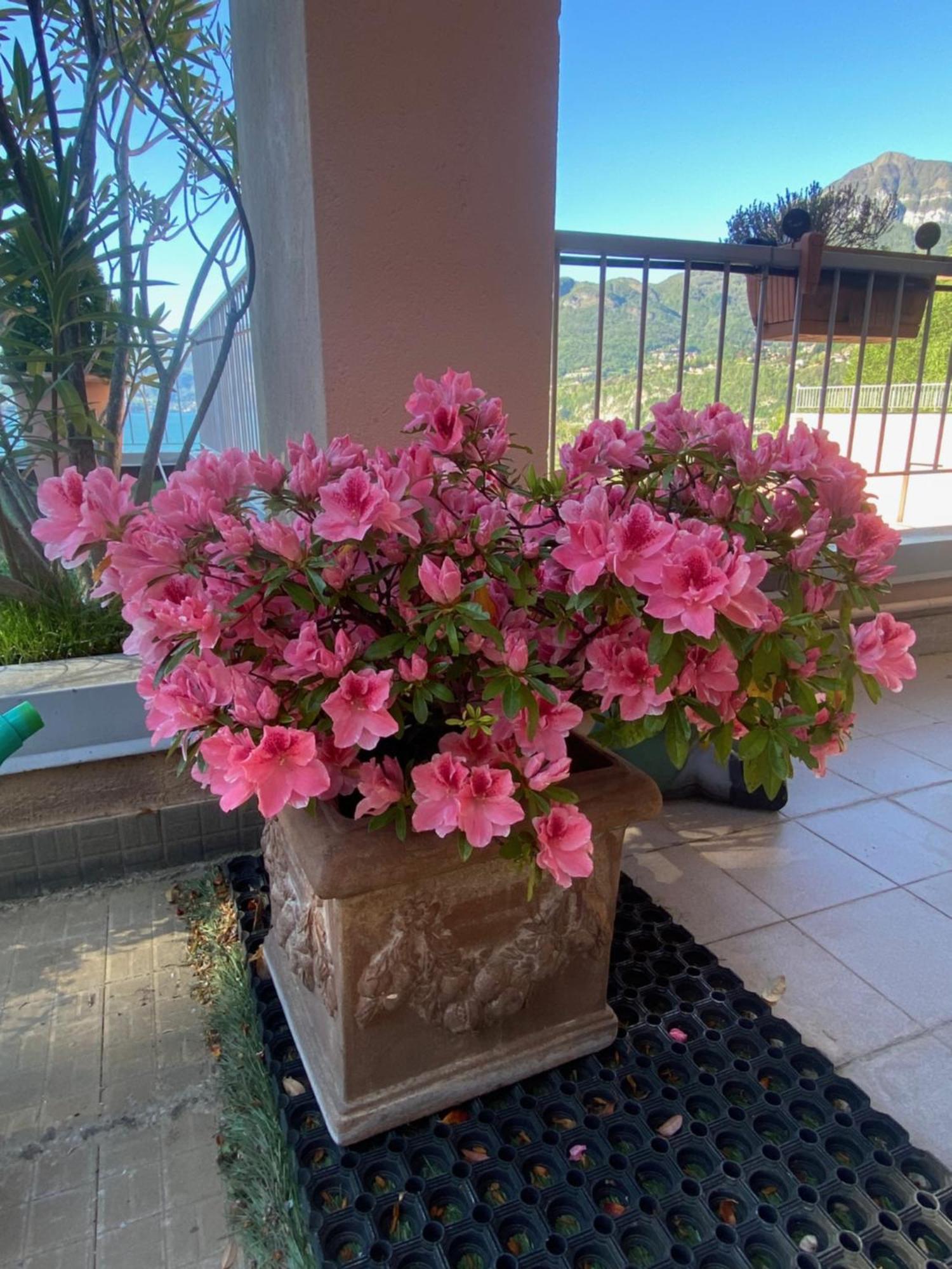 Casa Bella Vista Appartement San Siro  Buitenkant foto